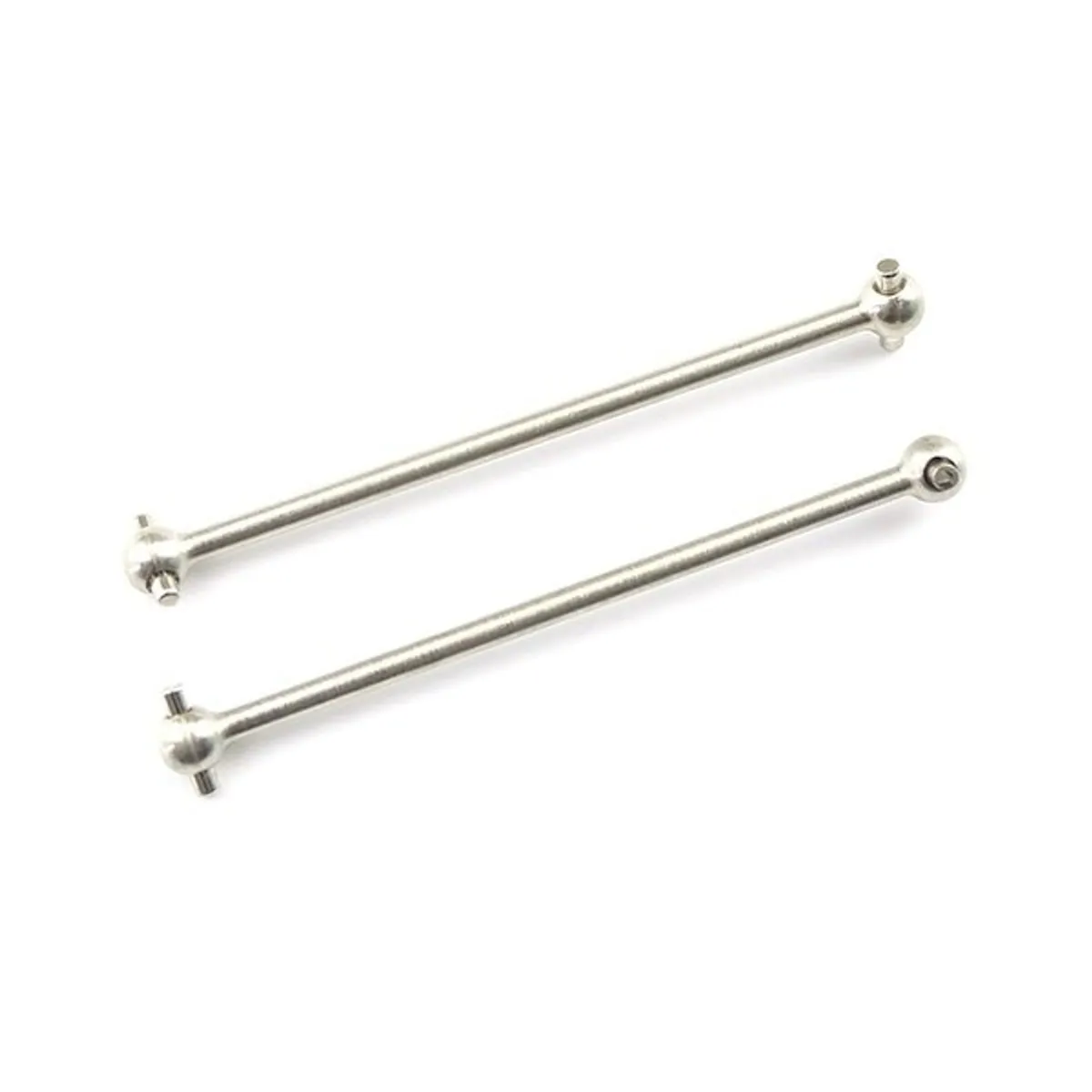 WL-144001.1281 Bone